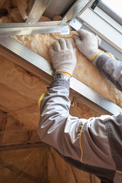 Best Specialized Insulation Services in Springdale, OH